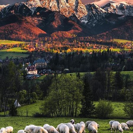 Villa Jumper Widok Na Cale Tatry Lazienka Nie Jest W Pokoju Zakopane Eksteriør bilde
