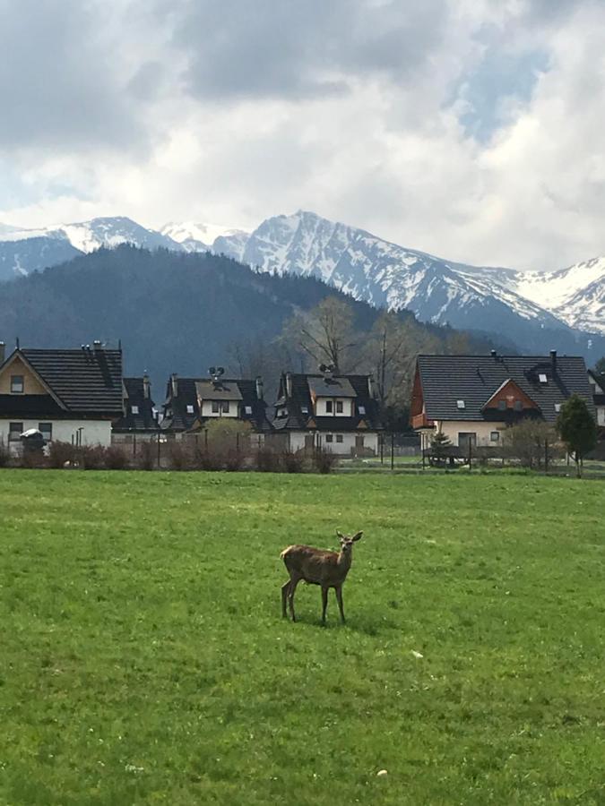 Villa Jumper Widok Na Cale Tatry Lazienka Nie Jest W Pokoju Zakopane Eksteriør bilde