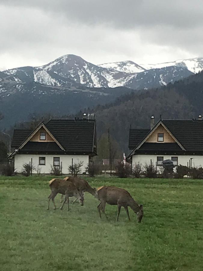 Villa Jumper Widok Na Cale Tatry Lazienka Nie Jest W Pokoju Zakopane Eksteriør bilde