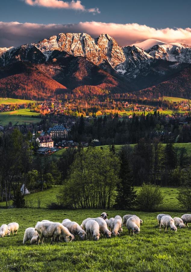 Villa Jumper Widok Na Cale Tatry Lazienka Nie Jest W Pokoju Zakopane Eksteriør bilde